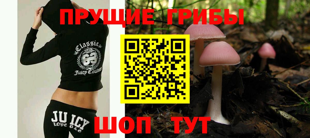 Кореновск  Галлюциногенные грибы MAGIC MUSHROOMS  как найти наркотики  Вход с VPN 